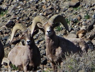 Walker Lake Lot For Sale in Walker Lake Nevada