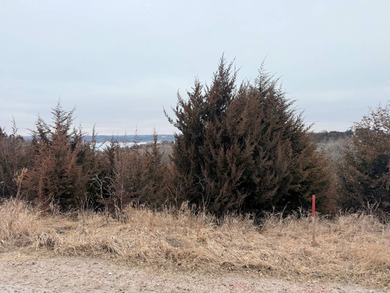 This is one of the last available undeveloped lots in the Elk - photo 4