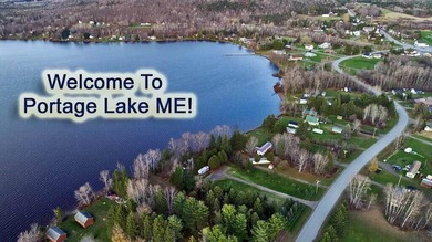 Lake Front Property On Portage Lake. Rare Find, Definitely - photo 6
