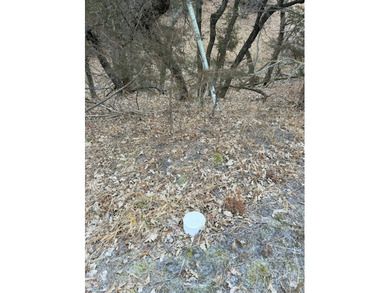This is one of the last available undeveloped lots in the Elk - photo 8