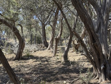 Welcome to your new 1.26 Acre lot in the serene Woodlands. This - photo 3