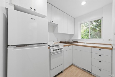 306 Bella Vista Avenue sits in one of Belvedere's most - photo 34