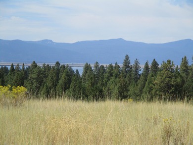 Nice Residential lot in Oregon Shores Unit 2 Views of Agency - photo 1