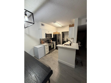Completely renovated 1- bedroom, 1- bathroom condominium - photo 2