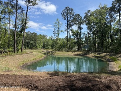 Welcome to Calabash Station. This community is near the beaches - photo 22