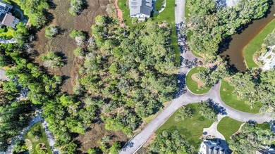 Beautiful 0.74-acre marsh-view lot in the gated Marsh Harbor - photo 31