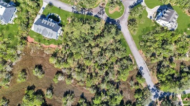 Beautiful 0.74-acre marsh-view lot in the gated Marsh Harbor - photo 33