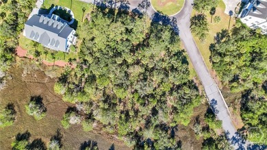 Beautiful 0.74-acre marsh-view lot in the gated Marsh Harbor - photo 34