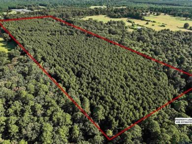 (private lake, pond, creek) Acreage For Sale in Gary Texas