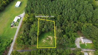 Watts Bar Lake Lot For Sale in Spring City Tennessee