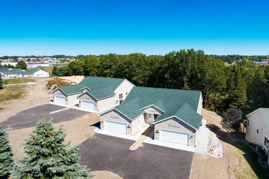 (private lake, pond, creek) Condo For Sale in Manistee Michigan