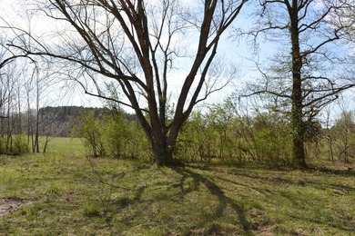 PRICE REDUCED!!! 1913 Shady Ln., Fairfield; COMMERCIAL PROPERTY - photo 22