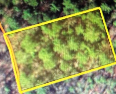 Lake Hiwassee Lot For Sale in Murphy North Carolina