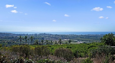 Close to downtown, this gated & private Carpinteria coastal - photo 6