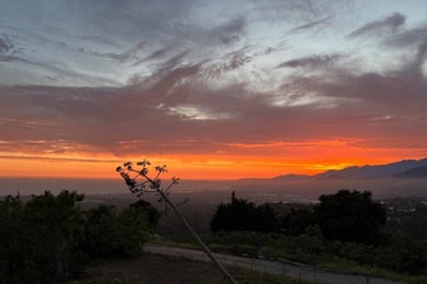 Close to downtown, this gated & private Carpinteria coastal - photo 8