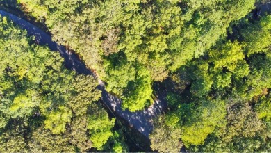 Lake Lot For Sale in Villa Rica, Georgia