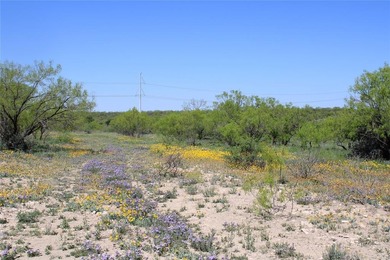 (private lake, pond, creek) Acreage For Sale in Paint Rock Texas