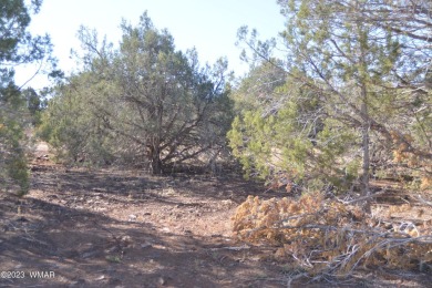 Lake Lot For Sale in Show Low, Arizona