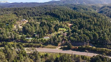 Just south of Port Orford, this exceptional 15-acre ocean-view - photo 7