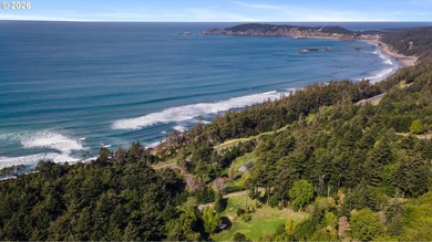 Just south of Port Orford, this exceptional 15-acre ocean-view - photo 9