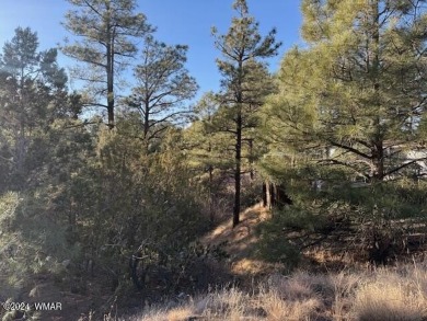 Lake Lot For Sale in Show Low, Arizona