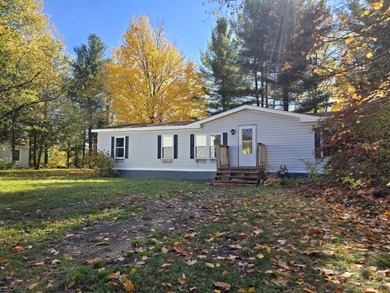 Lake Home For Sale in Hersey, Michigan