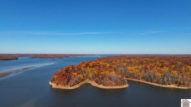 Exceptional Lake Barkley waterfront Eastern Red Cedar log home
