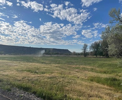 Snake River - Twin Falls County Acreage For Sale in Buhl Idaho
