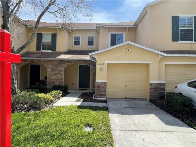 Lake Townhome/Townhouse Sale Pending in Riverview, Florida