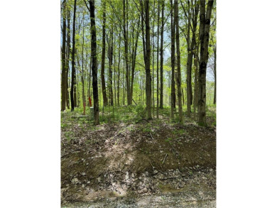 Come enjoy the lake life! Here is your chance to build your - Lake Lot For Sale in Rockville, Indiana