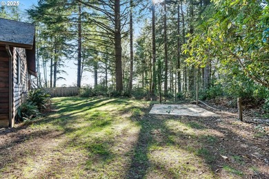 Charming log-style home on a gated, forested lot, complete with - photo 37