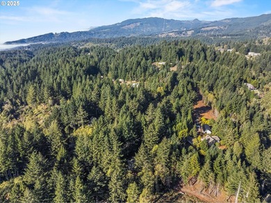 Charming log-style home on a gated, forested lot, complete with - photo 42