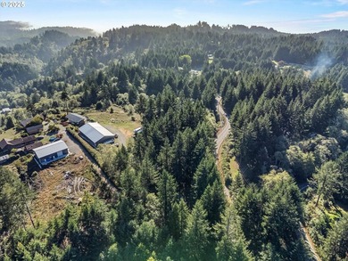 Charming log-style home on a gated, forested lot, complete with - photo 45