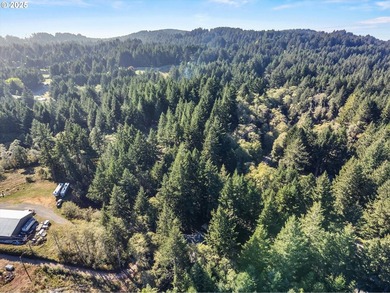 Charming log-style home on a gated, forested lot, complete with - photo 46