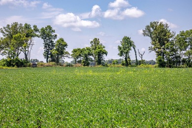 Delta Row Crop & Hunting Paradise This exceptional row crop farm - photo 7