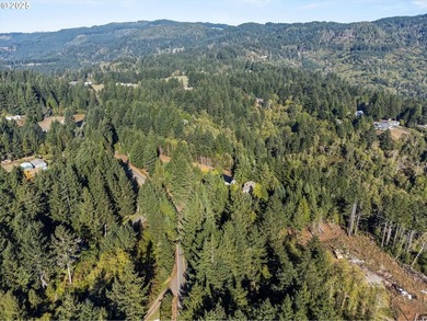 Charming log-style home on a gated, forested lot, complete with - photo 47