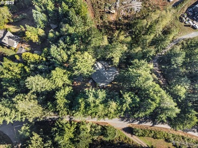 Charming log-style home on a gated, forested lot, complete with - photo 48