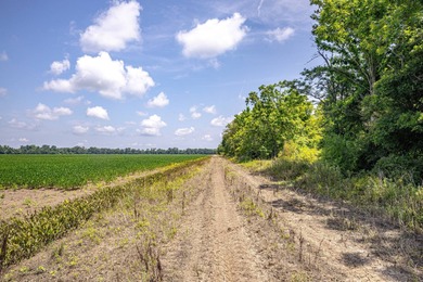 Delta Row Crop & Hunting Paradise This exceptional row crop farm - photo 10