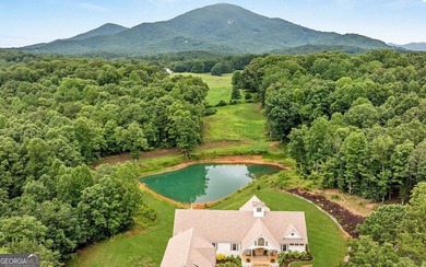 (private lake, pond, creek) Home For Sale in Cleveland Georgia