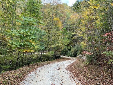 Lake Acreage For Sale in Nantahala, North Carolina