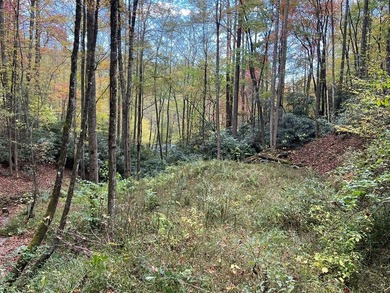 (private lake, pond, creek) Lot For Sale in Nantahala North Carolina