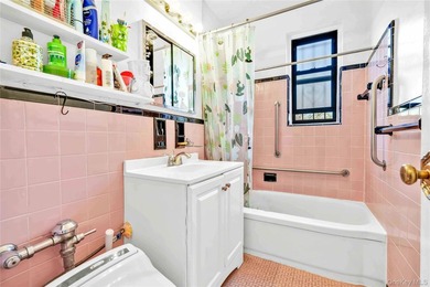 Large 1-Bedroom Co-op in Prime North Flushing Location, Spacious - photo 11