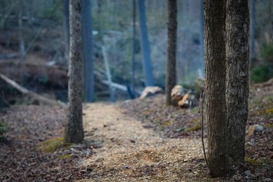 Set on 8.5 pristine acres, this extraordinary custom-built cabin