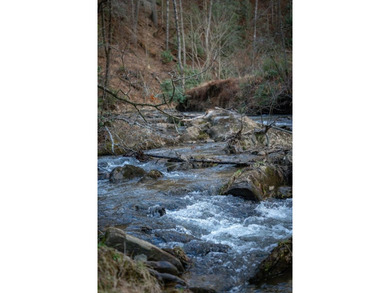 Set on 8.5 pristine acres, this extraordinary custom-built cabin