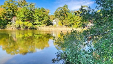 This stunning 3 bed, 2.5 bath house is an exceptional property - photo 32