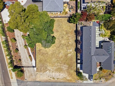 Rare Development opportunity in Santa Cruz. Flat 10,759sq. ft - photo 4