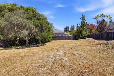 Rare Development opportunity in Santa Cruz. Flat 10,759sq. ft - photo 7