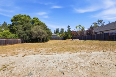Rare Development opportunity in Santa Cruz. Flat 10,759sq. ft - photo 8