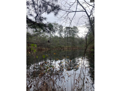 (private lake, pond, creek) Acreage For Sale in Blythewood South Carolina