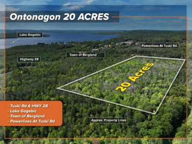 Gogebic Lake Acreage Sale Pending in Bergland Michigan